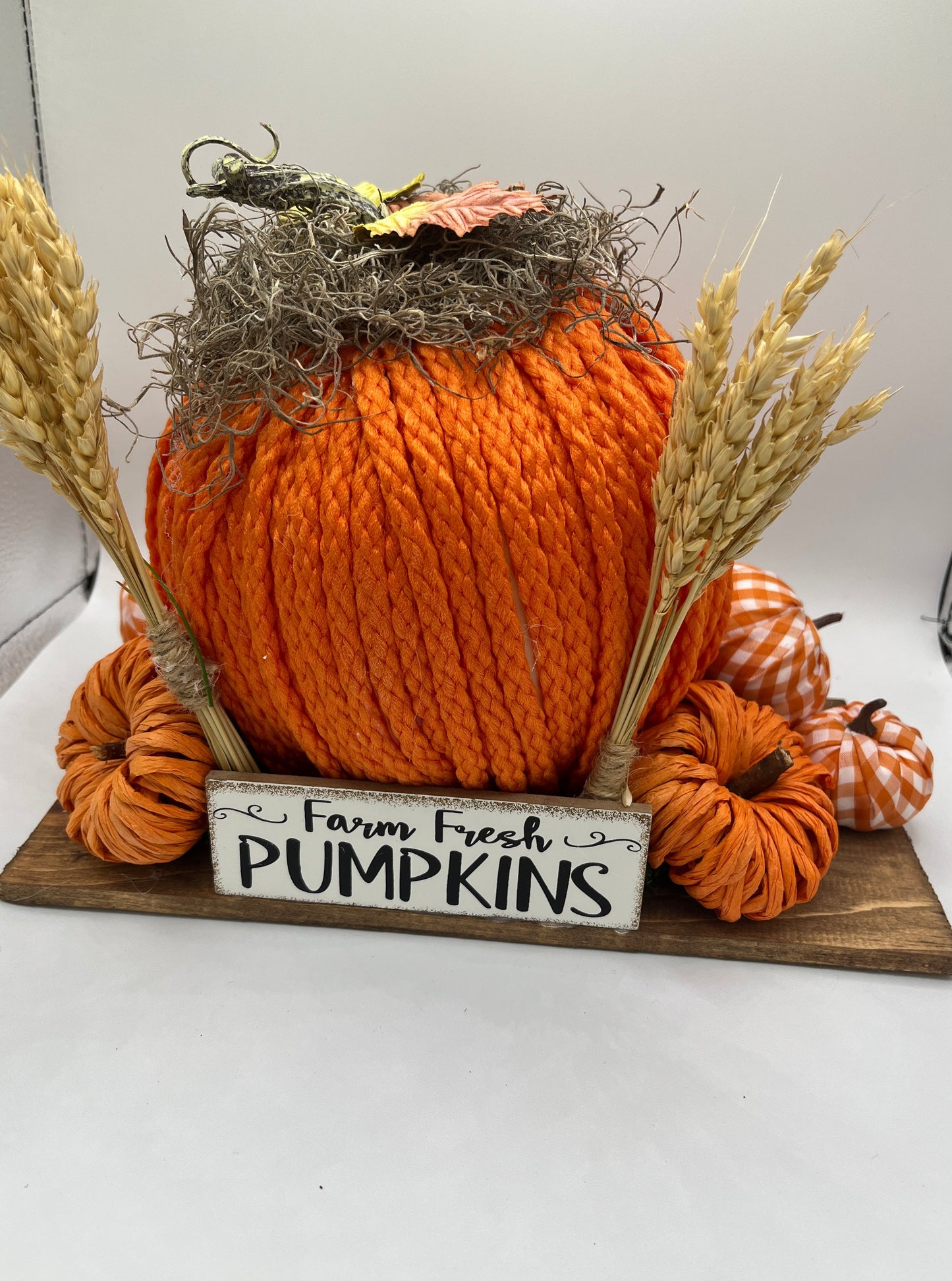 Welcome to the Pumpkin Patch