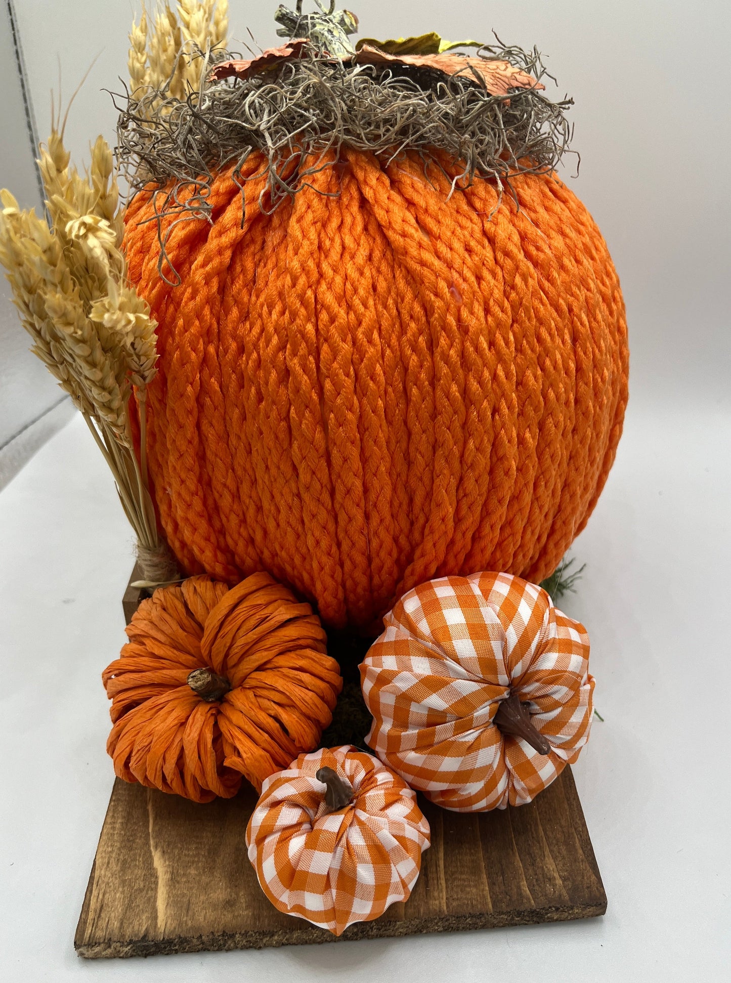 Welcome to the Pumpkin Patch