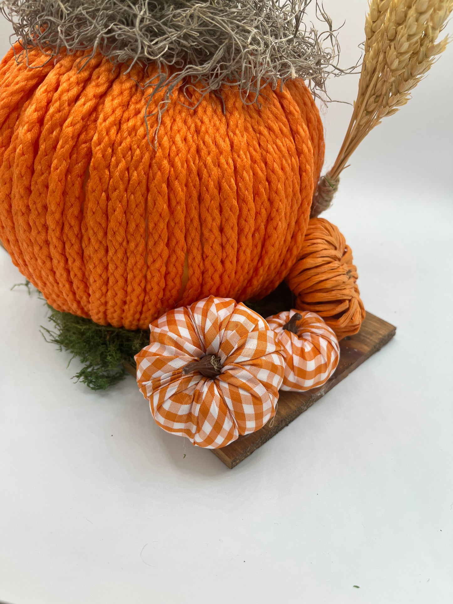 Welcome to the Pumpkin Patch