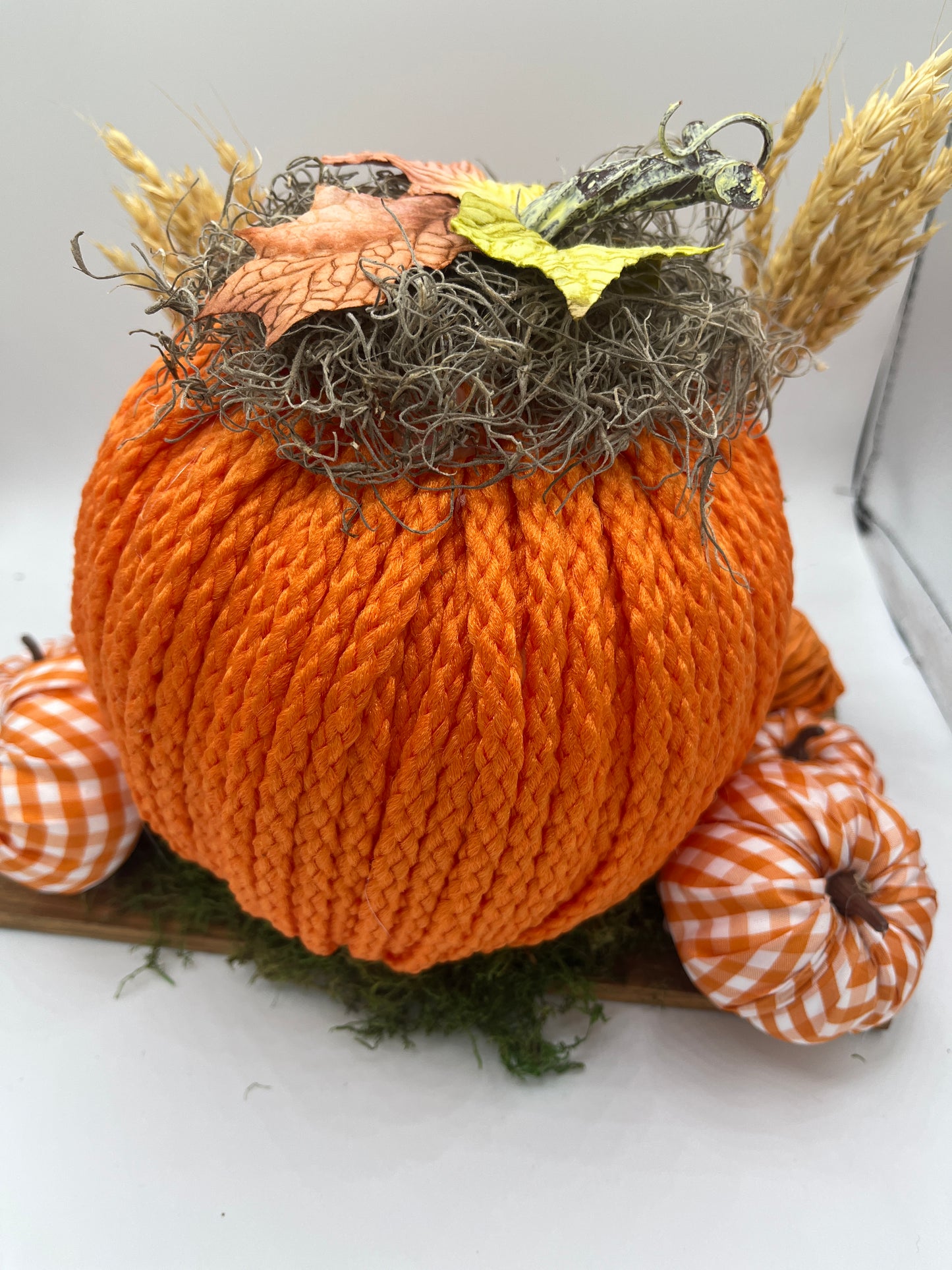 Welcome to the Pumpkin Patch