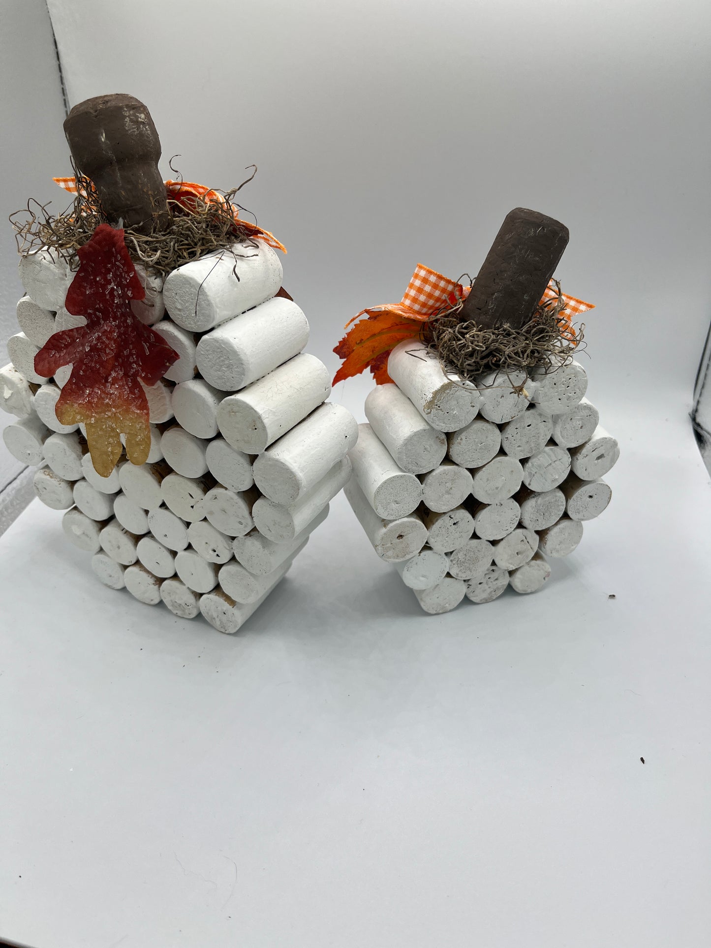 White Cork Pumpkins