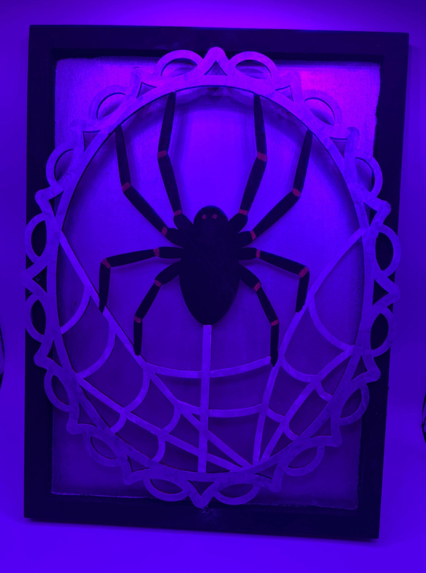 Spooky the spider
